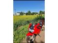 SUZUKI GSX 600 F 2003/2 - 3