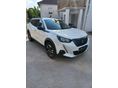 PEUGEOT 2008 2022/9 - 3