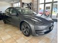 TESLA MODEL 3 2021/6 - 2