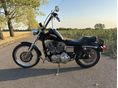 HARLEY-DAVIDSON SPORTSTER 883 2003/8 - 5