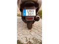 APRILIA ATLANTIC 250 2004/6 - 4