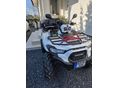 KAWASAKI BRUTE FORCE 450 T-CAT T3b