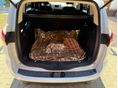 FORD S-MAX 2020/2 - 8