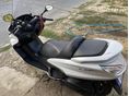 YAMAHA YP 400 MAJESTY 2010/10 - 2