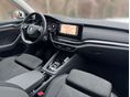 SKODA OCTAVIA 2021/3 - 4