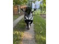 YAMAHA TMAX 500 2006/10 - 2