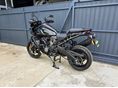 HARLEY-DAVIDSON PAN AMERICA SPECIAL 2021/7 - 3