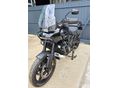 HARLEY-DAVIDSON PAN AMERICA SPECIAL 2021/7 - 8