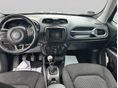JEEP RENEGADE 2020/11 - 3