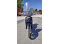 APRILIA SCARABEO 2002 - 6