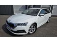SKODA OCTAVIA 2021/8 - 2