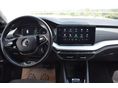 SKODA OCTAVIA 2023/5 - 2