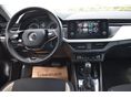 SKODA KAMIQ 2020/9 - 2