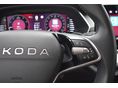 SKODA OCTAVIA 2025/4 - 14