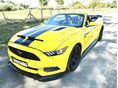 FORD MUSTANG 2015/12 - 2