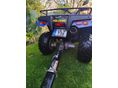 POLARIS PHOENIX 2006 - 4