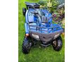 POLARIS PHOENIX 2006 - 7