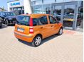 FIAT PANDA 2008/7 - 4