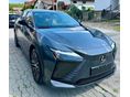 LEXUS RZ 450e Prestige Top