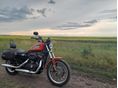 HARLEY-DAVIDSON SPORTSTER 883 R 2012/10 - 3
