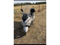 KYMCO XCITING 500 