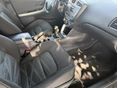 KIA CEE'D 2013/10 - 12
