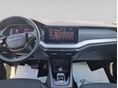SKODA OCTAVIA 2025/4 - 5