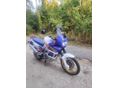 HONDA XRV 750 1993/6 - 3