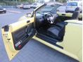 VOLKSWAGEN NEW BEETLE 2010/5 - 11
