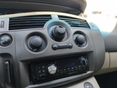 RENAULT SCENIC 2008/1 - 13