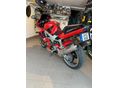 HONDA VTR 1000 F 2007/1 - 6