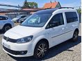 VOLKSWAGEN CADDY 2.0 CR TDI 4motion Edition 30