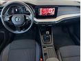 SKODA OCTAVIA 2023/2 - 5