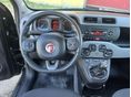 FIAT PANDA 2014/12 - 9
