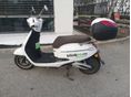 ZNEN CRUISE Blinkee