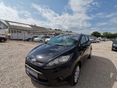 FORD FIESTA 2009 - 1
