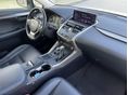 LEXUS NX 2018/11 - 5