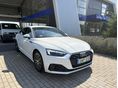 AUDI A5 Sportback 35 TDI Basis S-tronic Mo.-i. 1 Tul. ÁFA-S! Nr.:302