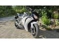 HONDA CBR 1000 RR 