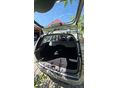 FORD FOCUS 2009/8 - 7