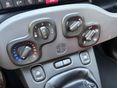 FIAT PANDA 2015/4 - 15