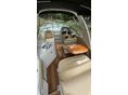 CROWNLINE 2011 - 8