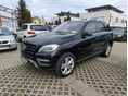 MERCEDES-BENZ ML 250 BlueTEC (Automata)