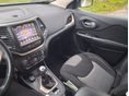JEEP CHEROKEE 2014/8 - 6