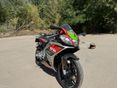 APRILIA RS 125 GP-Replica