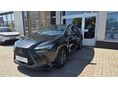LEXUS NX 2022/11 - 1