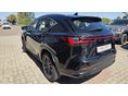 LEXUS NX 2022/11 - 5