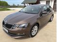 SKODA OCTAVIA 1.6 CR TDI Style DSG
