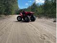 HONDA TRX 250 EX 2005/1 - 2
