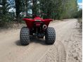 HONDA TRX 250 EX 2005/1 - 4